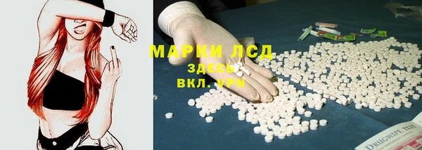 стафф Аркадак