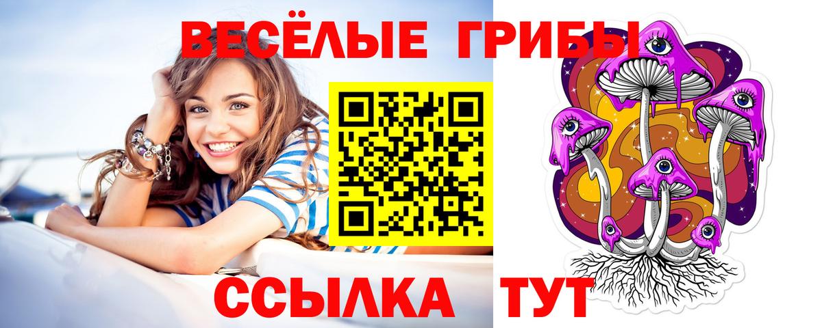 Псилоцибиновые грибы мухоморы Белорецк